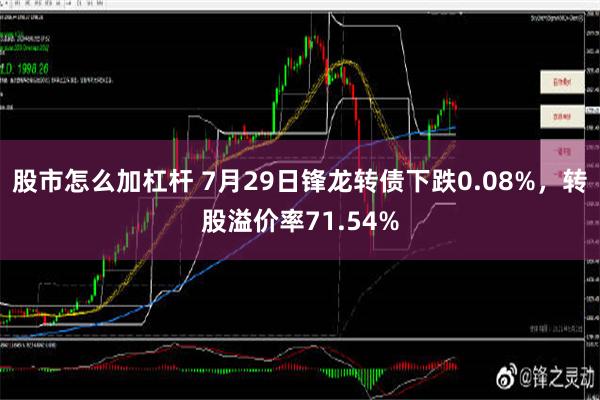 股市怎么加杠杆 7月29日锋龙转债下跌0.08%，转股溢价率71.54%