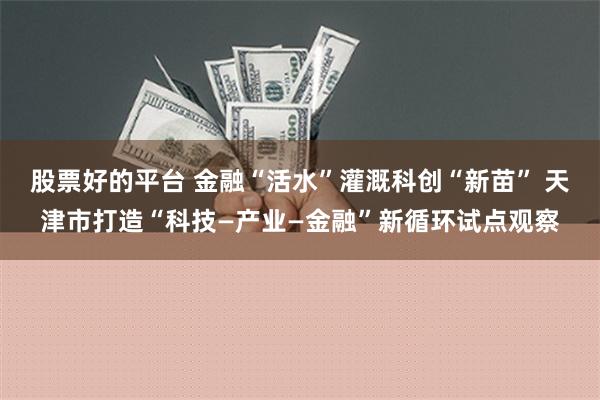 股票好的平台 金融“活水”灌溉科创“新苗” 天津市打造“科技—产业—金融”新循环试点观察