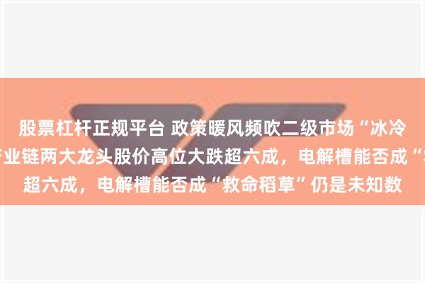 股票杠杆正规平台 政策暖风频吹二级市场“冰冷应对”！氢燃料电池产业链两大龙头股价高位大跌超六成，电解槽能否成“救命稻草”仍是未知数