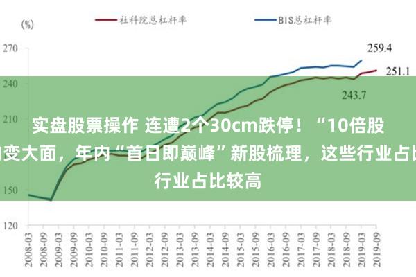 实盘股票操作 连遭2个30cm跌停！“10倍股”大肉变大面，年内“首日即巅峰”新股梳理，这些行业占比较高