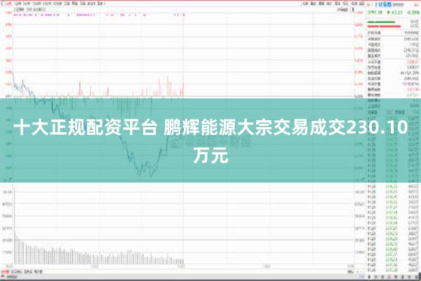 十大正规配资平台 鹏辉能源大宗交易成交230.10万元